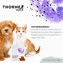 thornevet-phytoprofenvet-inflammatory-su-2.jpg
