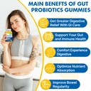 gut-health-probiotic-gummies-112-5-billi-3.jpg