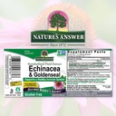 nature-s-answer-enchinacea-goldseal-supp-2.jpg