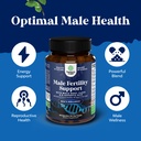 pre-conception-male-fertility-supplement-6.jpg