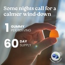vita-globe-kids-sleep-melatonin-gummies--4.jpg