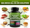 turmeric-curcumin-moringa-supplement-gin-3.jpg
