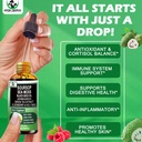 soursop-drops-soursop-bitters-liquid-wit-2.jpg