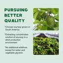 2-pack-organic-soursop-graviola-liquid-d-2.jpg