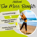 advanced-bionetix-organic-irish-sea-moss-3.jpg