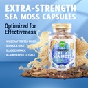 maju-wild-irish-sea-moss-capsules-120ct--5.jpg