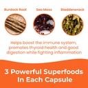 infinite-age-1250mg-sea-moss-advanced-su-6.jpg