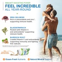 power-by-naturals-sea-moss-plus-usda-org-4.jpg