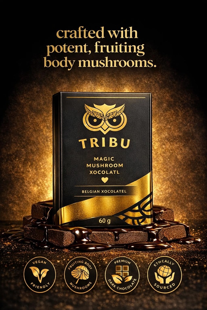tribu-mushrooms-nightcap-mushroom-chocol-5.jpg