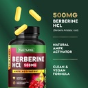 built-by-nature-berberine-500mg-berberin-3.jpg