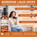 berberine-with-ceylon-cinnamon-high-abso-2.jpg