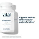 vital-nutrients-berberine-supports-bowel-6.jpg