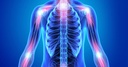 flamasil-for-healthy-inflammation-respon-6.jpg