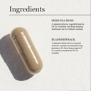 dr-sebi-s-sea-moss-capsules-with-bladder-4.jpg