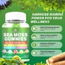 sea-moss-gummies-irish-sea-moss-with-eld-3.jpg
