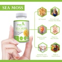 organic-irish-sea-moss-capsules-1400mg-a-5.jpg
