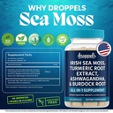 droppels-irish-sea-moss-capsules-with-tu-4.jpg