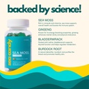 irish-sea-moss-gummies-with-ginseng-blad-6.jpg