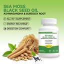 sea-moss-black-seed-oil-capsules-with-bu-3.jpg