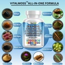sea-moss-complex-with-black-seed-oil-shi-3.jpg
