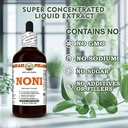 noni-morinda-citrofolia-dry-fruit-glycer-6.jpg