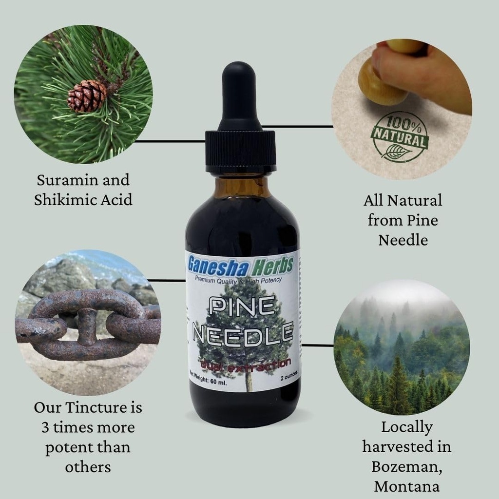 pine-needle-liquid-tincture-herbal-liqui-2.jpg