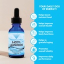 absonutrix-s-acetyl-l-glutathione-100-mg-5.jpg