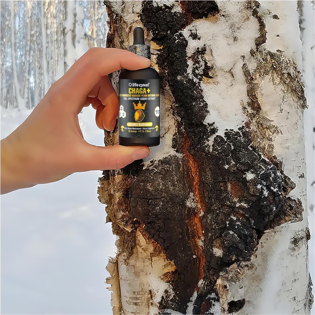 life-cykel---chaga-mushroom-extract-with-3.jpg
