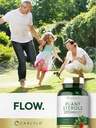 carlyle-plant-sterols-supplement-1200-mg-6.jpg