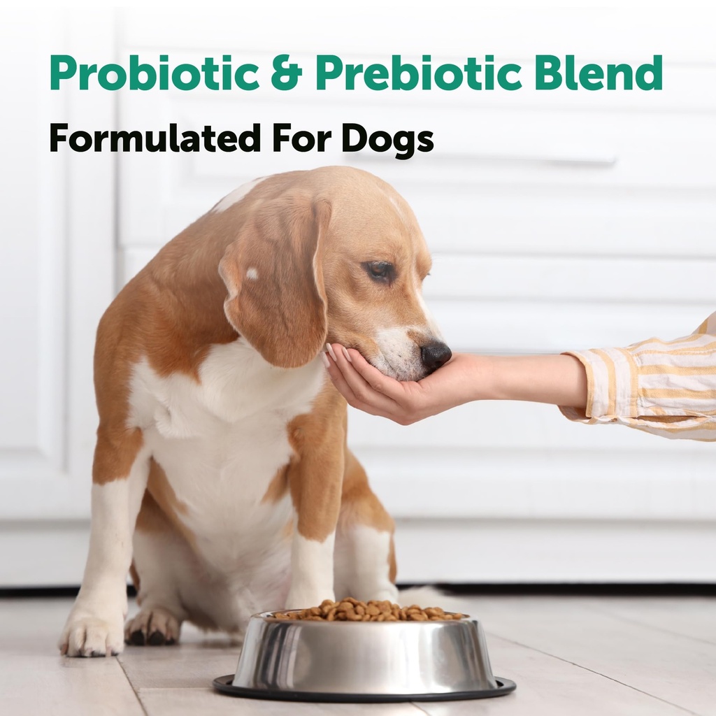 micro-ingredients-probiotics-for-dogs-24-4.jpg