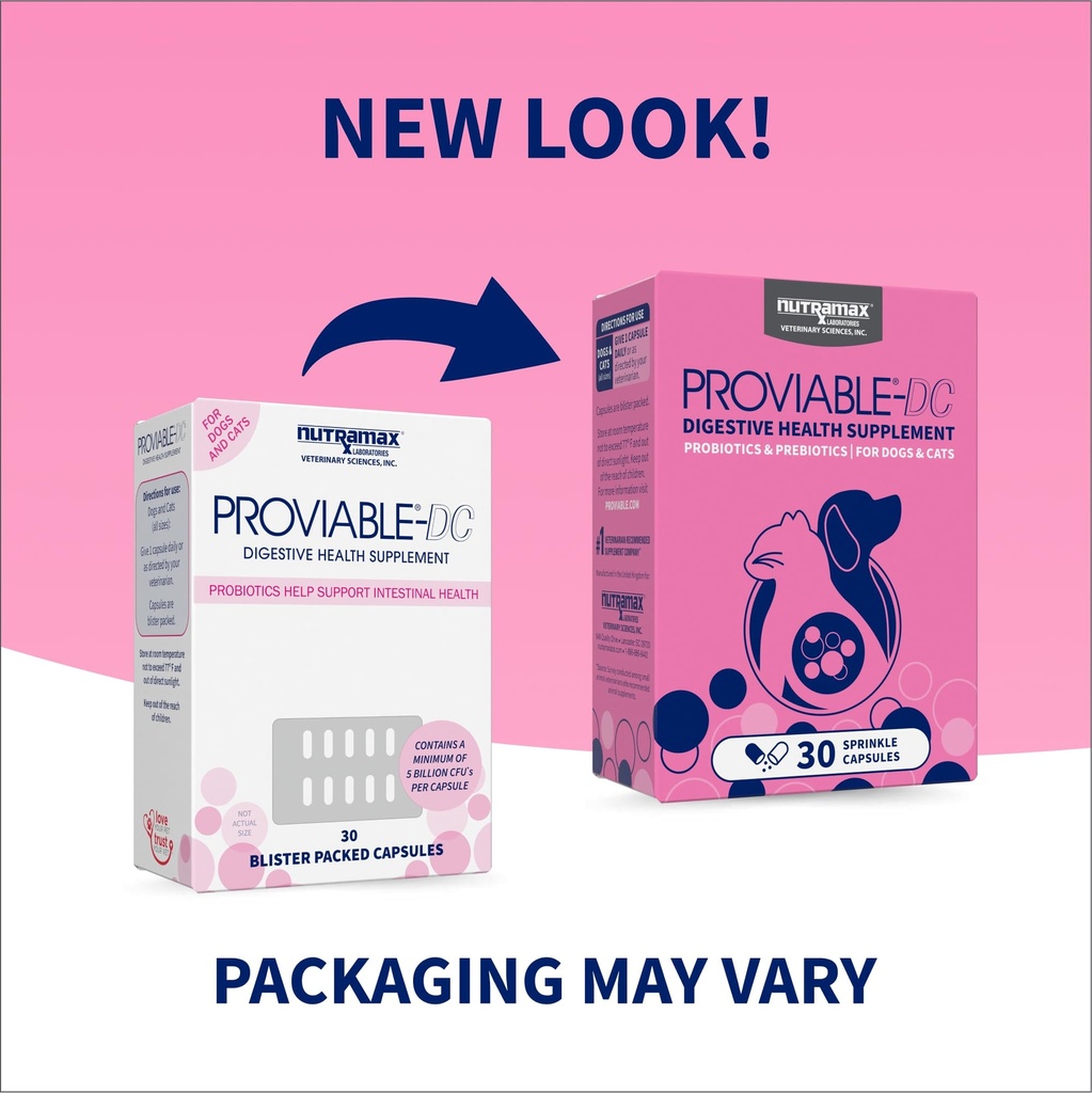nutramax-proviable-probiotics-for-dogs-a-2.jpg
