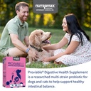 nutramax-proviable-probiotics-for-dogs-a-3.jpg