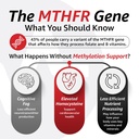 10x-health-optimize-methylated-multivita-6.jpg