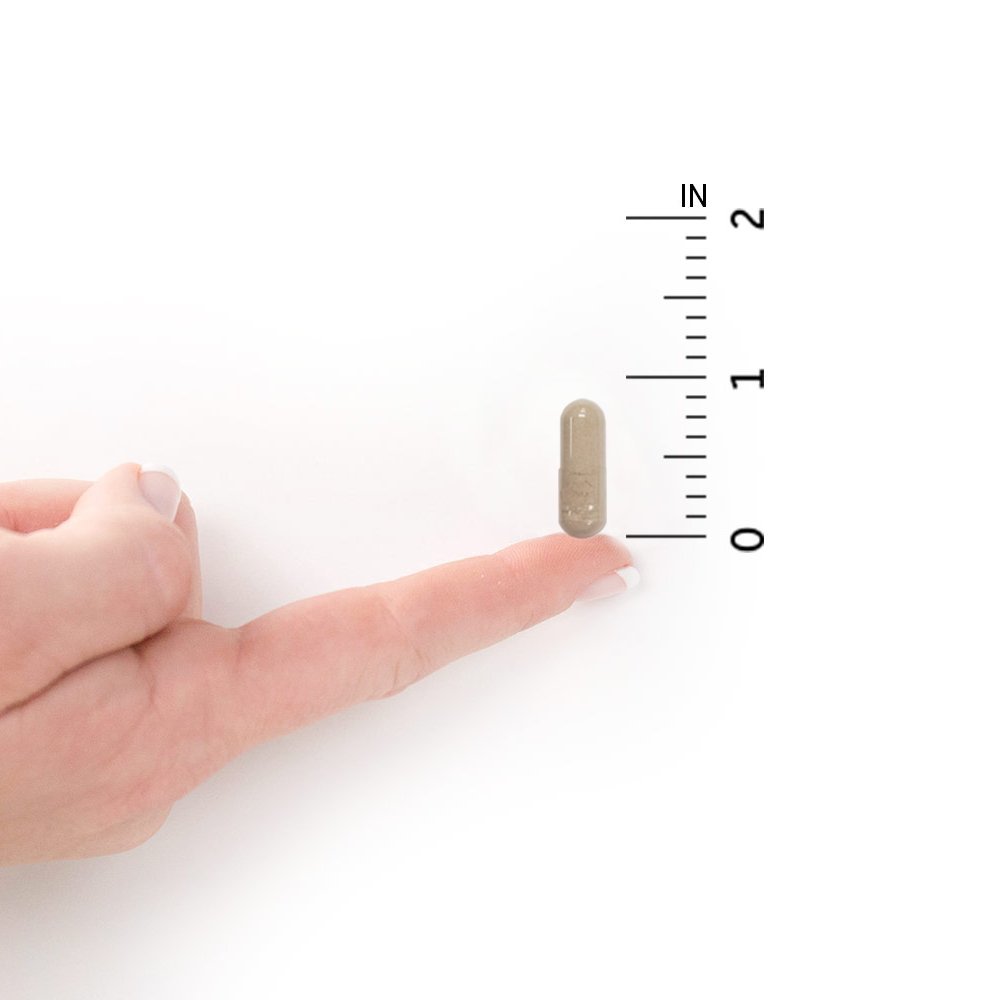 garden-of-life-multivitamin-code-perfect-4.jpg