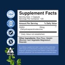 dhea-supplement-for-women-men-dhea-25mg--3.jpg