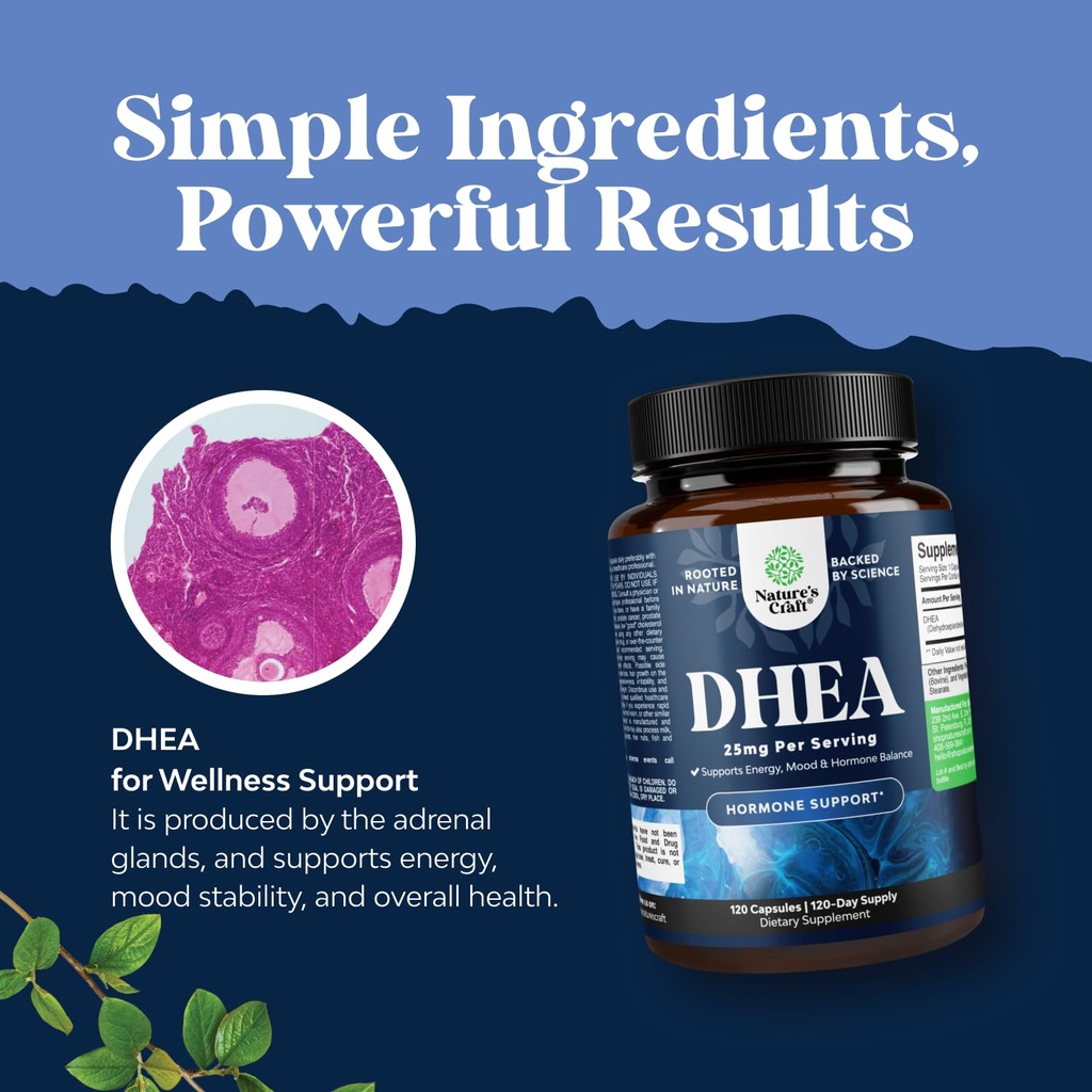 dhea-supplement-for-women-men-dhea-25mg--6.jpg