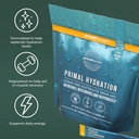primal-harvest-electrolytes-powder-packe-6.jpg