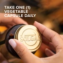 solgar-vitamin-b6-100-mg-vegetable-capsu-3.jpg