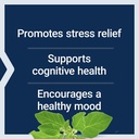 life-extension-optimized-ashwagandha-str-4.jpg