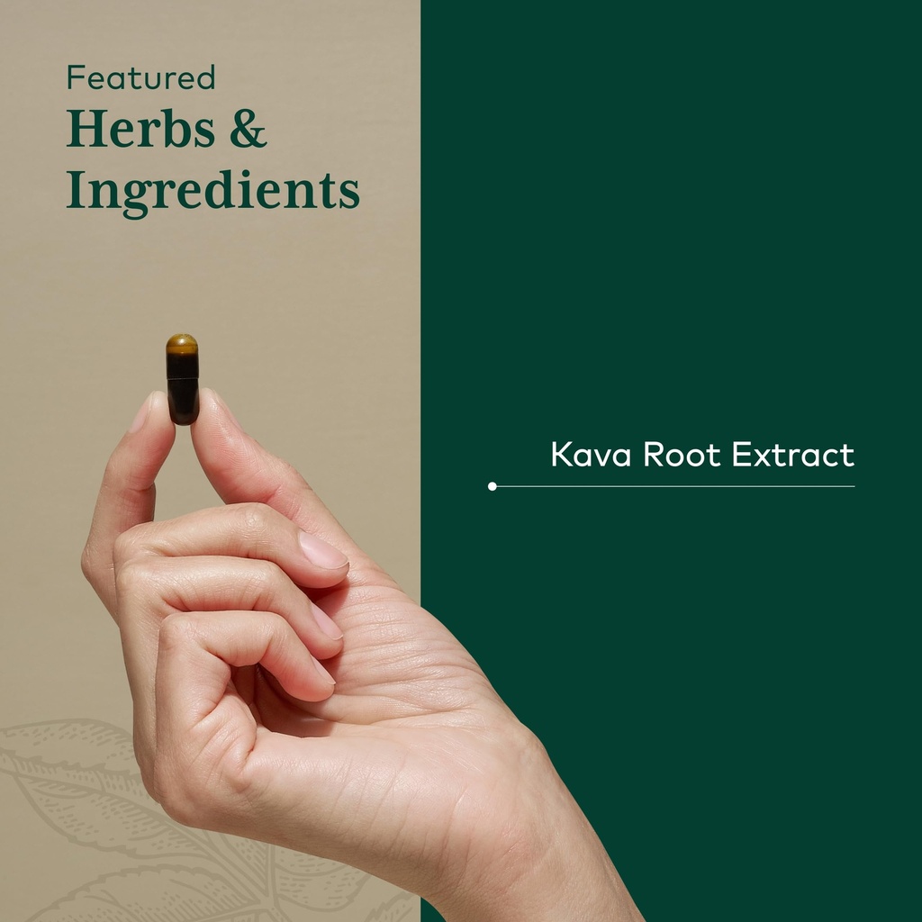 gaia-herbs-pro-kava-75-stress-support-su-4.jpg