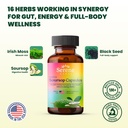 serene-herbs-cellular-detox-duo-soursop--3.jpg