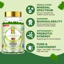 sea-moss-soursop-gummies-organic-irish-s-2.jpg