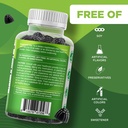 vitamatic-moringa-gummies-sugar-free-bot-4.jpg