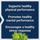 life-extension-rhodiola-extract-rhodiola-4.jpg