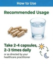 sheng-di-huang-rehmannia-100-capsules-bo-2.jpg
