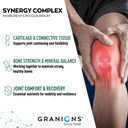 granions-glucosamine-chondroitin-msm-pow-4.jpg
