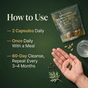 liposomal-herbal-parasite-gut-detox-120--6.jpg