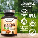 turmeric-curcumin-supplement-95-curcumin-4.jpg