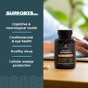 ancient-nutrition-vitamin-b-complex-supp-3.jpg