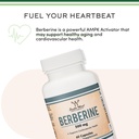 berberine-supplement-500mg-high-purity-9-6.jpg
